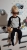 49898973_2216794735043728_5565883135754764288_n.jpg