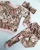 118213342_1260600774320030_7235071630751514725_n.jpg