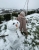 400f8071-23ec-4f3c-bdd3-0e942f31d834.jpeg