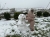 c34a6d82-992f-46a9-b86d-d0dd251286e4.jpeg