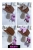 IMG_6619.jpeg