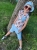 IMG_8734_jpg.jpeg