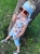 IMG_8726_jpg.jpeg