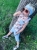 IMG_8728_jpg.jpeg