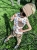IMG_8565.jpeg