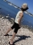 IMG_2993.jpeg