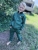 IMG_3799.jpeg
