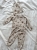 IMG_5002.jpeg