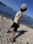 IMG_2994.jpeg