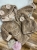 IMG_1006.jpeg