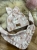 IMG_2918.jpeg