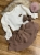 IMG_3333.jpeg