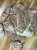 IMG_3844.jpeg