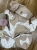 IMG_3999.jpeg