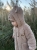 IMG_4712.jpeg