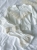 IMG_2828.jpeg