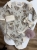 IMG_5921.jpeg