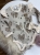 IMG_5924.jpeg
