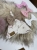 IMG_9045.jpeg