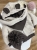 IMG_2163.jpeg