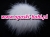 wthth100_2825.jpg