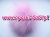 wthth100_2889.jpg